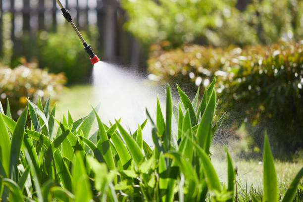 Tamper-Resistant Bait Stations for Rodents in Isla Vista