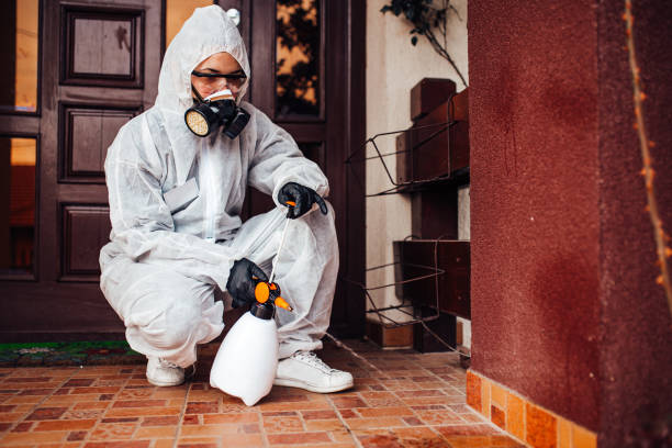 Attic and Crawl Space Rodent Treatment in Isla Vista